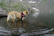 04 Al Lago Rotondo (di Trona (2256 m)